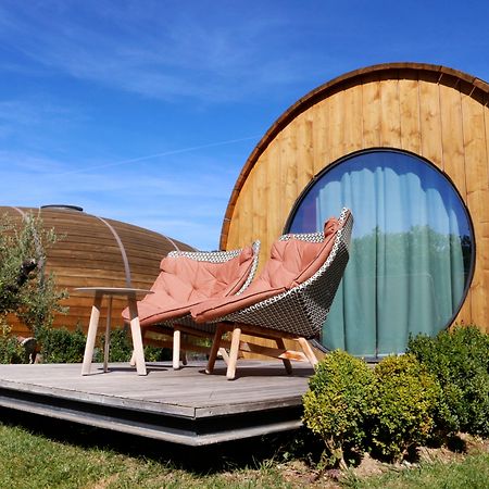 Pacheca The Wine House Hotel E Spa - Quinta Da Pacheca Lamego Exterior photo Wine Hotel