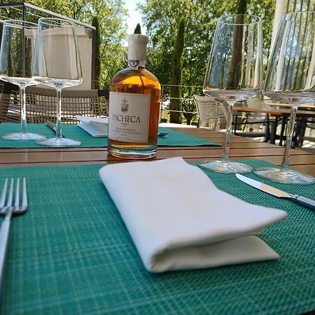 Pacheca The Wine House Hotel E Spa - Quinta Da Pacheca Lamego Exterior photo A bottle of grappa