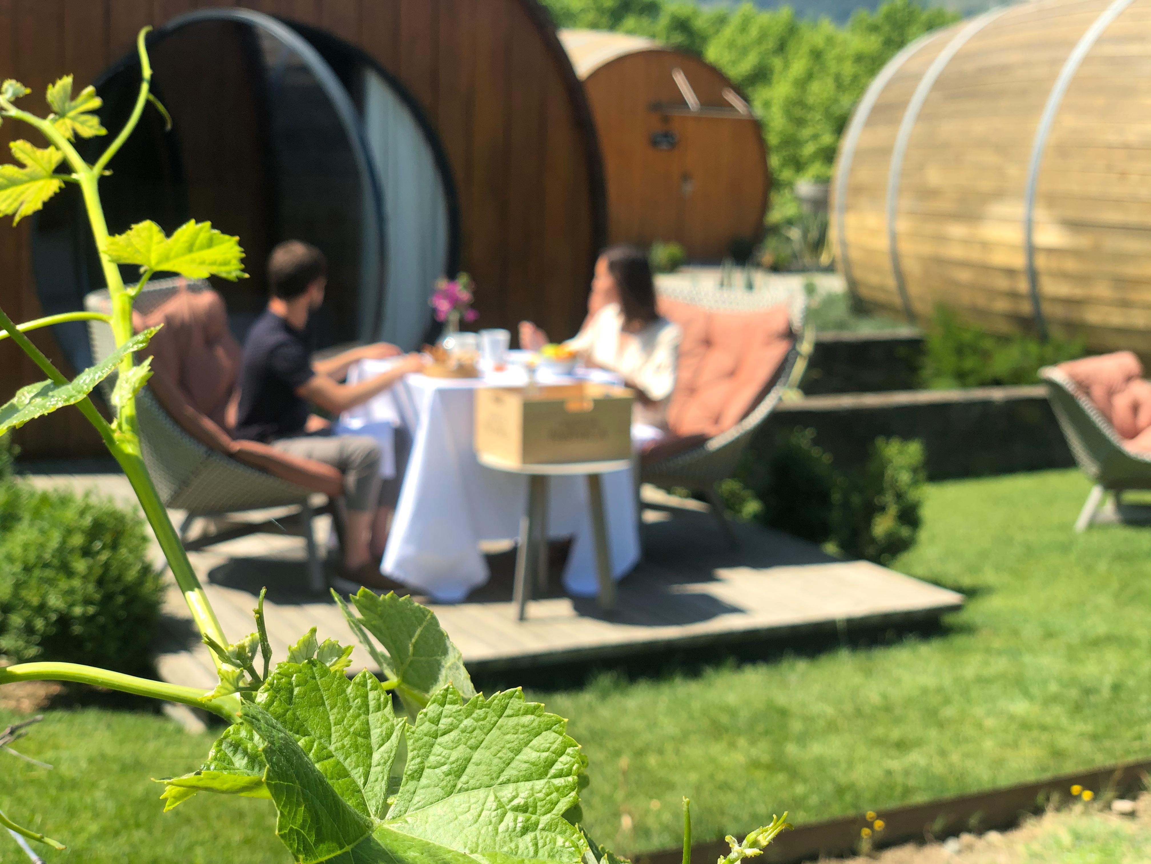 Pacheca The Wine House Hotel E Spa - Quinta Da Pacheca Lamego Exterior photo Wine tasting at the winery