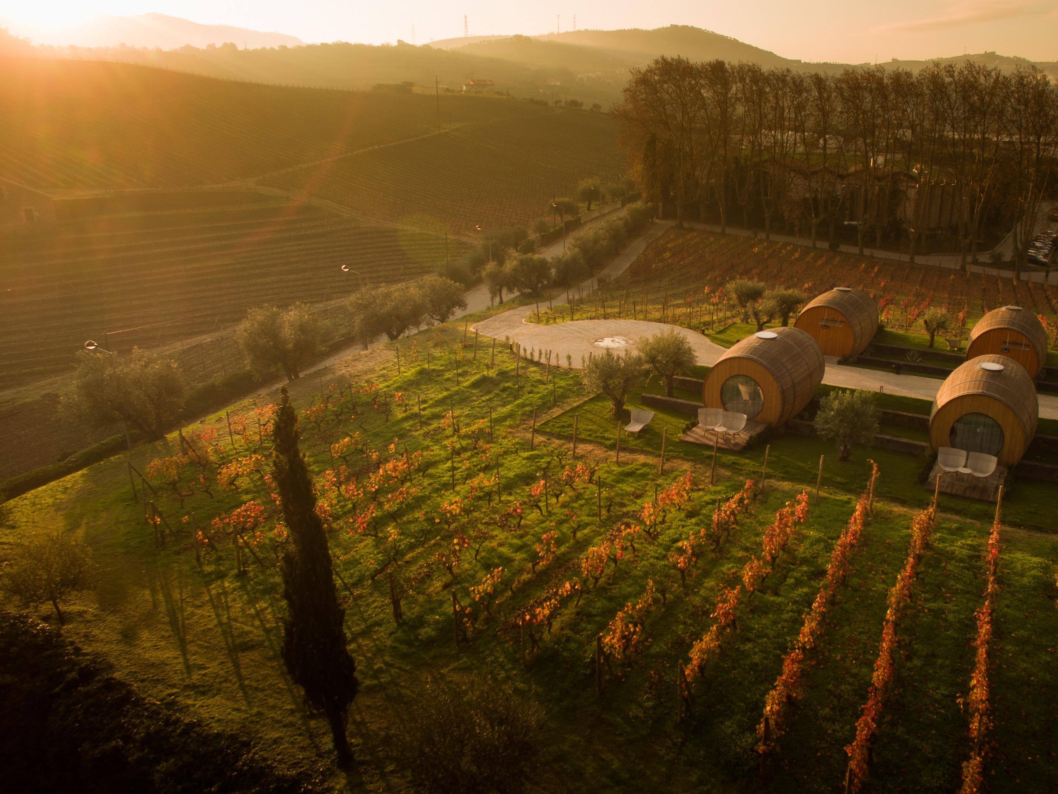 Pacheca The Wine House Hotel E Spa - Quinta Da Pacheca Lamego Exterior photo Vineyards in the Tokaji region