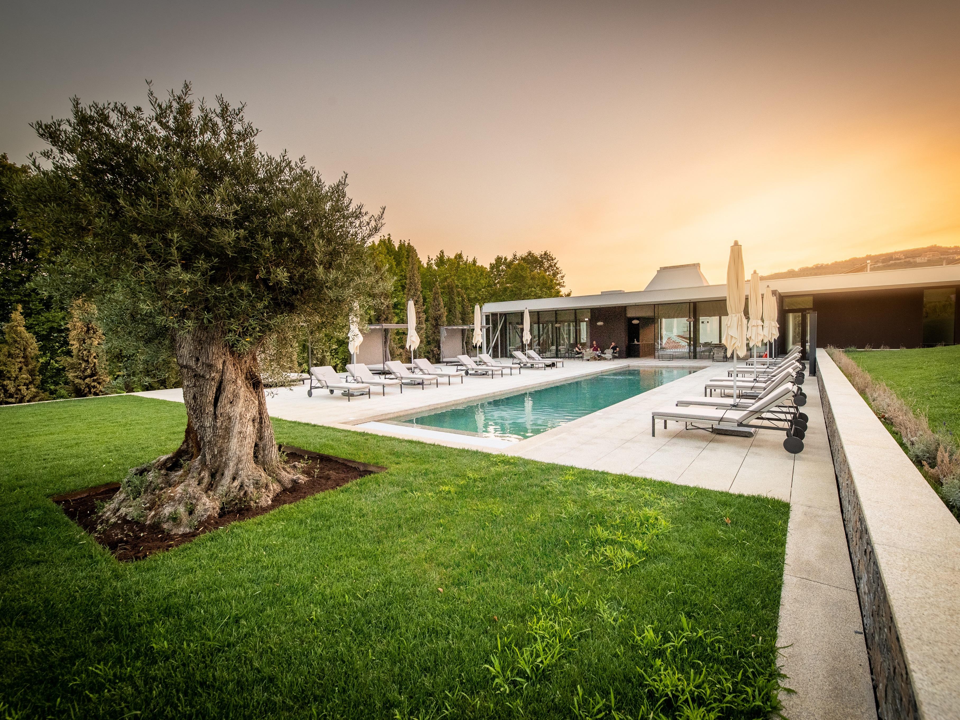 Pacheca The Wine House Hotel E Spa - Quinta Da Pacheca Lamego Exterior photo Villa in Marbella