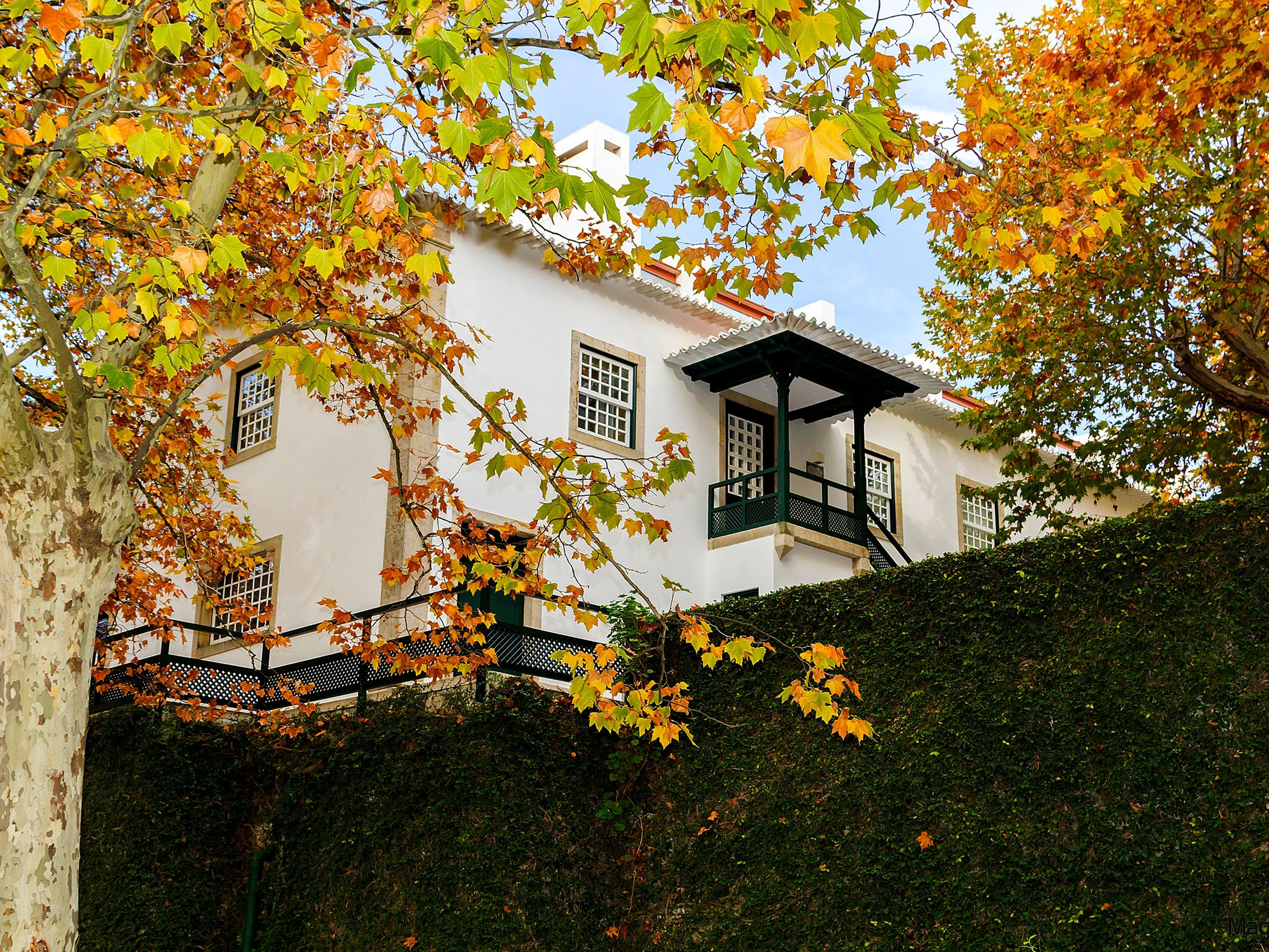 Pacheca The Wine House Hotel E Spa - Quinta Da Pacheca Lamego Exterior photo The front facade of the Pousada de Óbidos, a Pousada de Portugal hotel