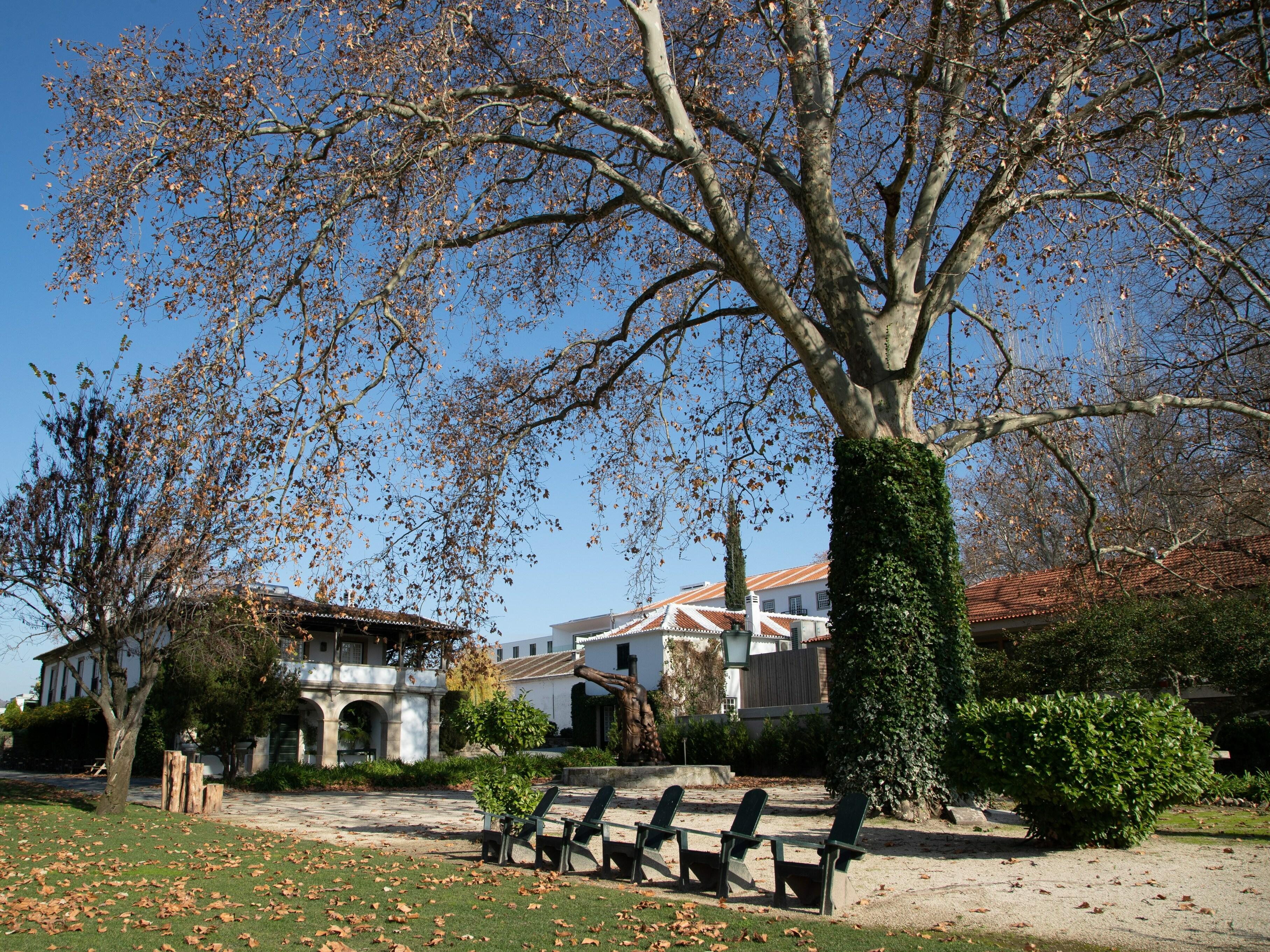Pacheca The Wine House Hotel E Spa - Quinta Da Pacheca Lamego Exterior photo The square in front of the town hall