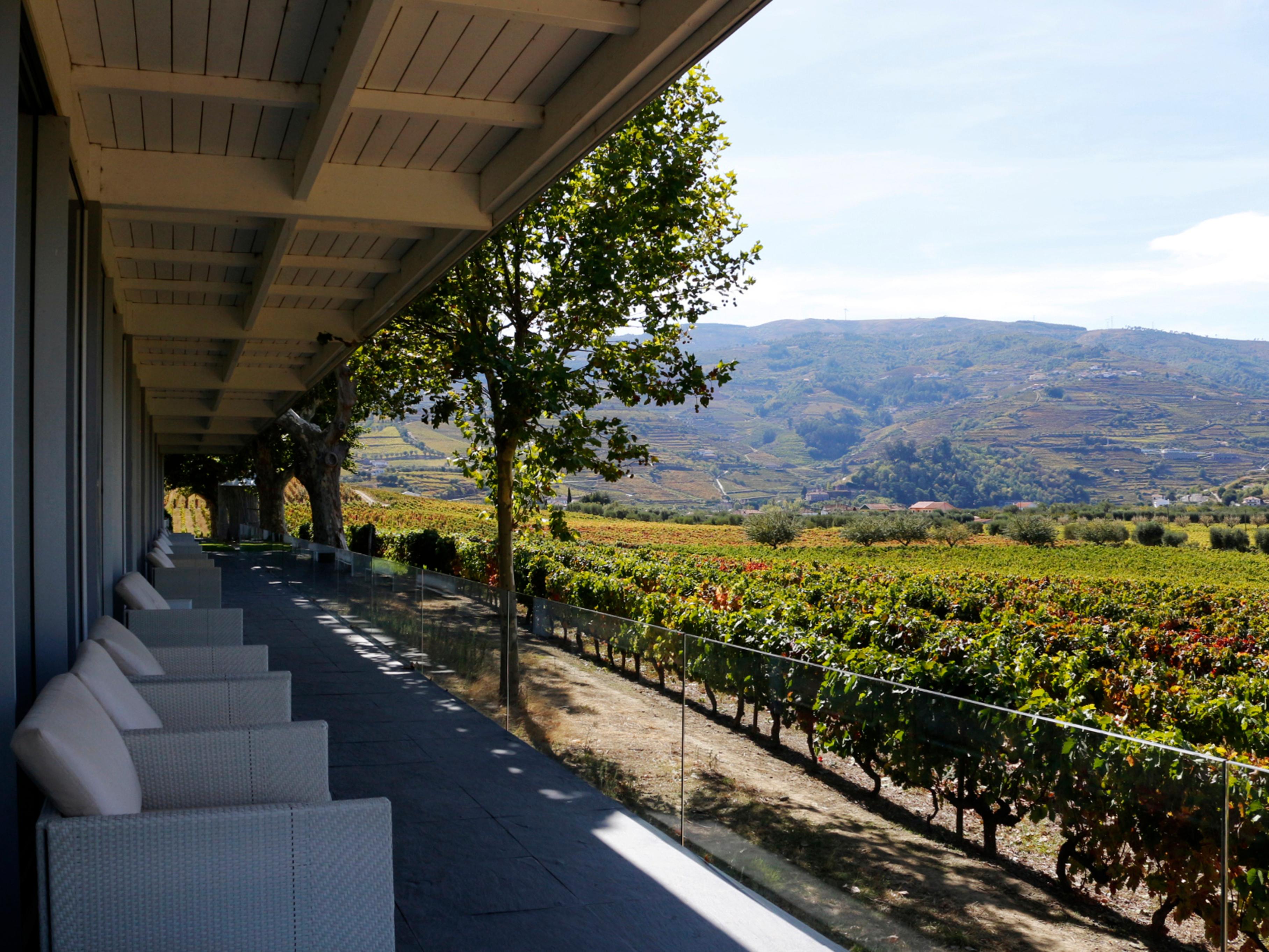 Pacheca The Wine House Hotel E Spa - Quinta Da Pacheca Lamego Exterior photo The vines of the Dão region