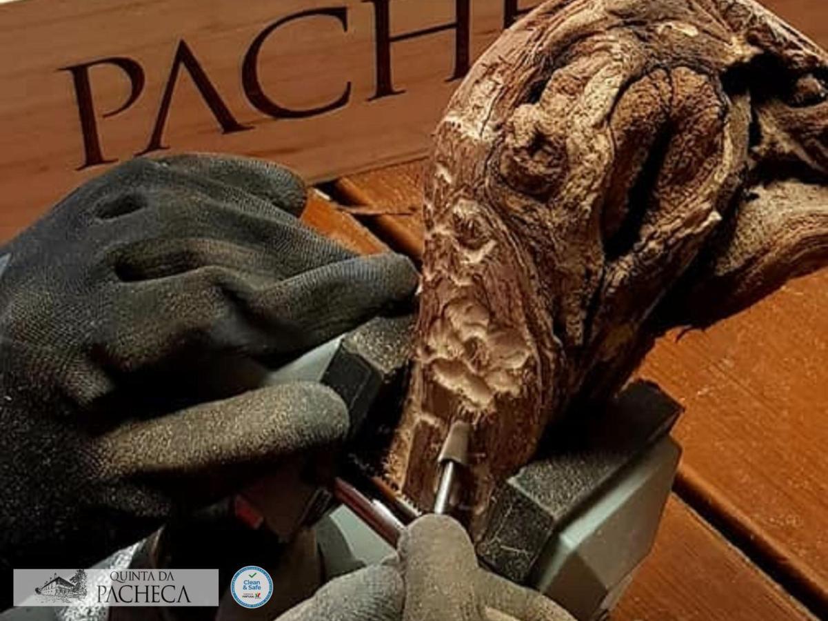 Pacheca The Wine House Hotel E Spa - Quinta Da Pacheca Lamego Exterior photo Pacheco working on a sculpture